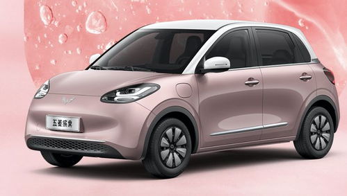 五菱缤果电动车价格表(五菱缤果电动车价格表冰梅粉)