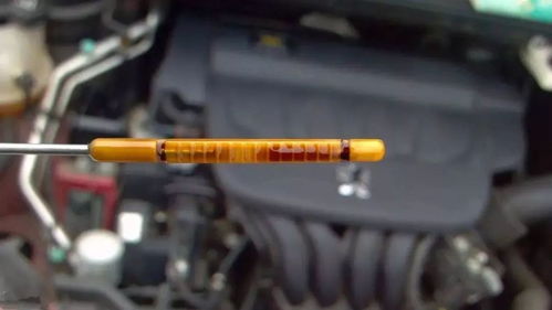 2年不换机油一点事都没(2年不换机油一点事都没有) 2年不换机油一点事都没(2年不换机油一点事都没有)