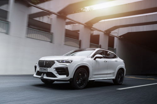 长城weyvv7s价格(长城wey vv 7)