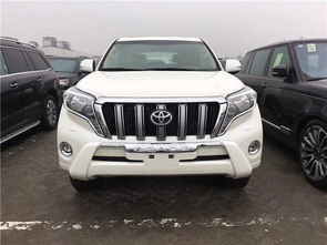 丰田全部越野车型(丰田越野车型有哪几款)