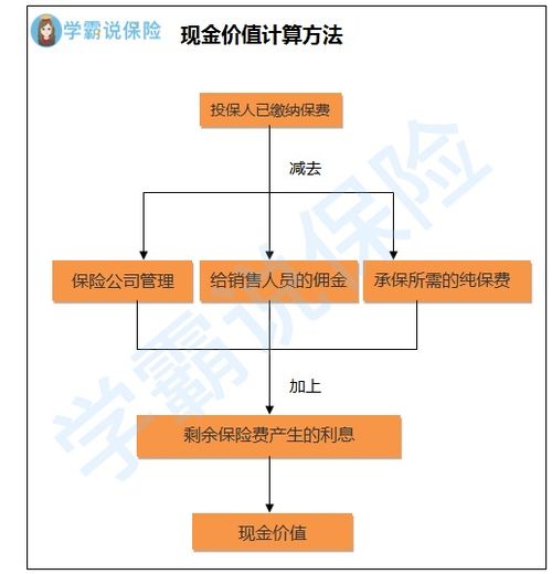 保险公司回应取钱需等待至2084年，时间之谜的解析与反思