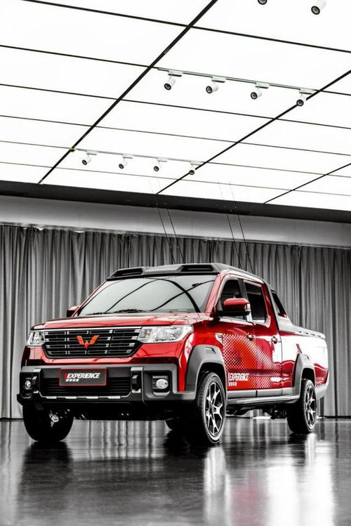 五菱合法改装效果图(五菱改装车)