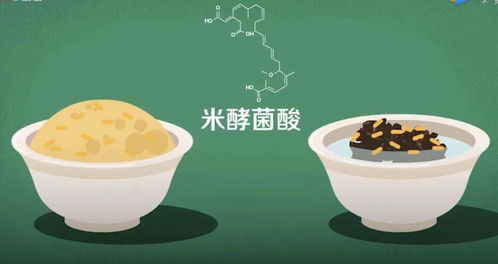 孕妈因食用发霉百草味面包宫缩入院，食品安全警钟再次敲响
