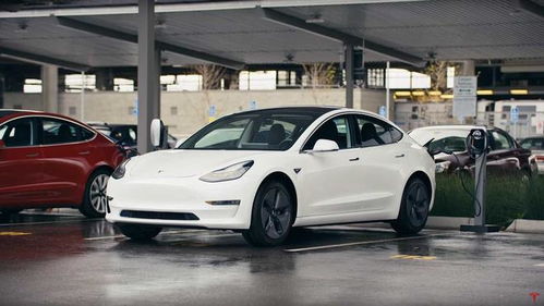 特斯拉model3多少钱(特斯拉model3多少钱一辆)