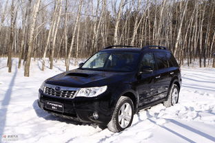 斯巴鲁森林人图片(斯巴鲁森林人图片解说) 斯巴鲁森林人图片(斯巴鲁森林人图片解说)