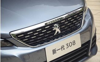 东风各种车型及价格及图片(东风全部车型和价格)