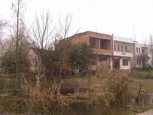 农村宅基地闲置现象,空置率高达43.8%的村庄挑战与出路 农村宅基地闲置现象,空置率高达43.8%的村庄挑战与出路