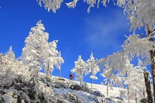 中国最冷小镇的寒冬，气温低至-37.4℃的挑战与奇迹