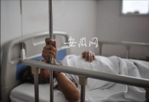 百草味发霉致孕妇住院事件真相揭秘