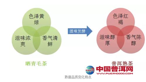 探究休耻感的成因与影响