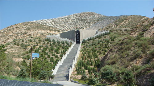 娃公交奇遇,巨幅海报上的自我发现 娃公交奇遇,巨幅海报上的自我发现