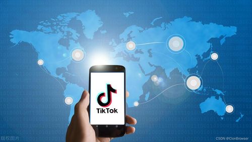 美最高法支持对TikTok的强迫出售令，数字时代的法律挑战与应对