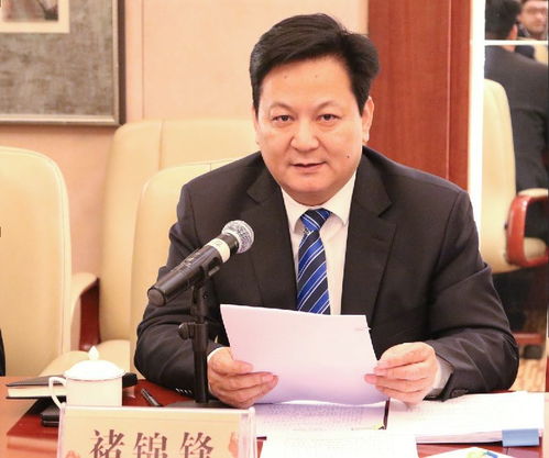 一位公安厅副厅长61岁自投罗网——正义与权力的反思