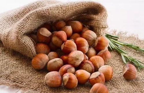 合理食用四种坚果，养生之道吃对不吃错