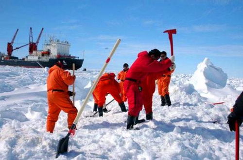 南极科考队员的特殊经历，春晚之夜的选择