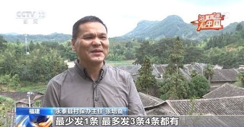 中方敦促美方迅速查明撞机事故原因 中方敦促美方迅速查明撞机事故原因