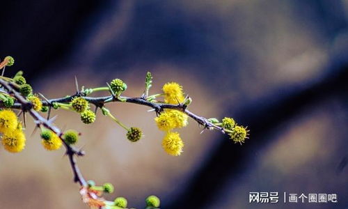 今日立春，四类人群需知躲春之道