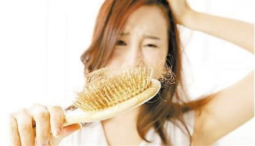 女子一年掉发39357根，记录与探索