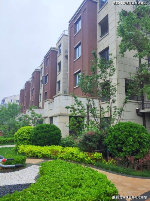 PlayStation网络瘫痪超24小时，影响、原因与未来展望