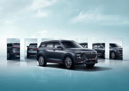 与1400斤小牛相伴的00后女生，日夜的成长与陪伴