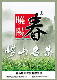 以民为本，解决百姓身边的大事小情