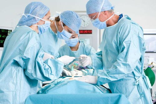 无癌被切胆囊，签名医生称未参与手术——一场医疗信任的危机