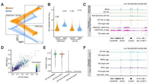 偏振光成像技术，原理、应用与未来展望