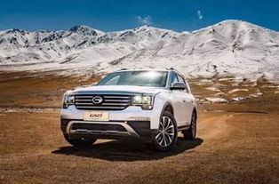 2025年最具潜力的新兴汽车品牌 2025年最具潜力的新兴汽车品牌