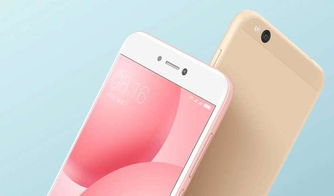 小米5C,科技与美学的完美结合 小米5C,科技与美学的完美结合