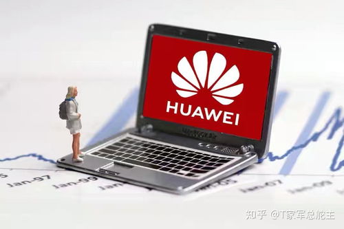 华为B199,科技巨头的新里程碑 华为B199,科技巨头的新里程碑