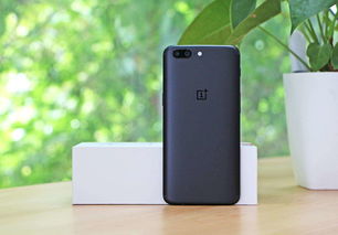 一加手机2，性能与设计的完美结合