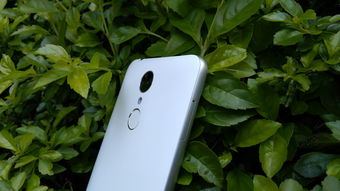 本易手机,科技与美学的完美结合 本易手机,科技与美学的完美结合