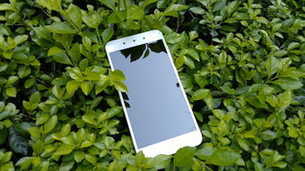 卓普手机，科技与美学的完美结合