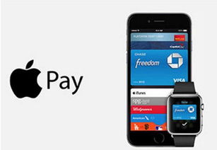 XT800手机，功能与性能的综合体验