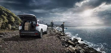 东风标志，历史、象征与未来展望