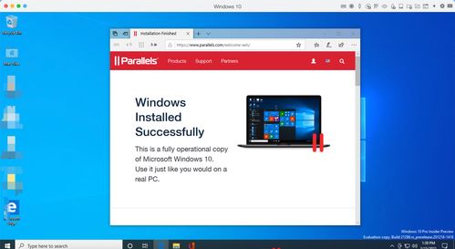 正版windows10(正版windows10不需要安装安全防护软件)