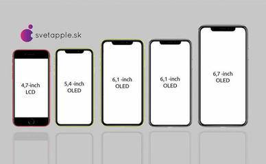 iphone11promax屏幕尺寸(iphone11promax 屏幕尺寸)