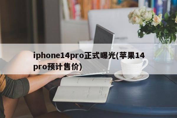 iphone14pro正式曝光(苹果14pro预计售价)