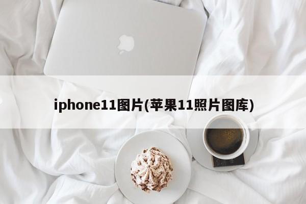 iphone11图片(苹果11照片图库)