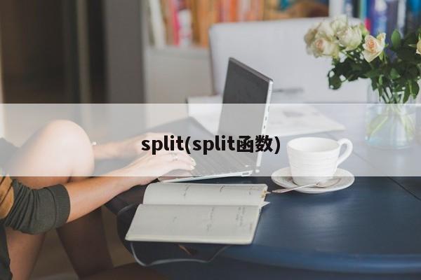 split(split函数)