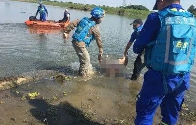 佛山近百只猫水塘溺亡事件，悲剧背后的反思