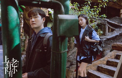 短剧家有萌宝，傅少的在逃小娇妻——一场甜蜜的逃婚与追爱之旅