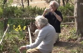 短剧中的失忆之旅，一脚踹走渣老公的99集人生