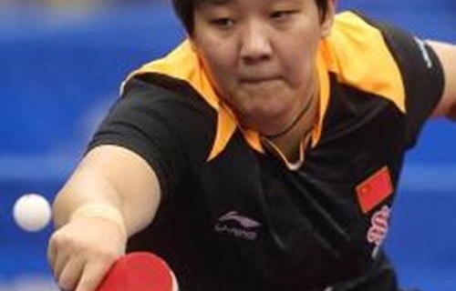 国乒男单独苗林诗栋，逆境中的坚守与希望