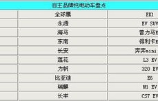 电动汽车品牌(电动汽车品牌大全一览表)
