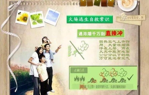 短剧护花小神医，89集的温暖与智慧