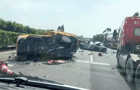 撞死网红狼司机疑似未主动救治事件深度剖析