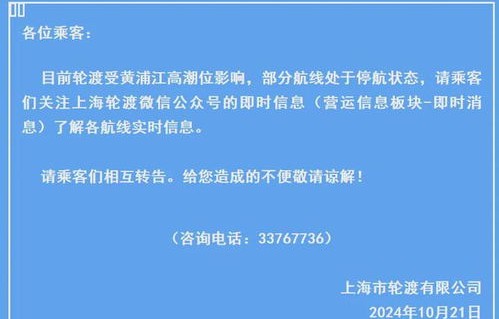 全国多地遭遇海水倒灌现象，专家深度解析与应对策略
