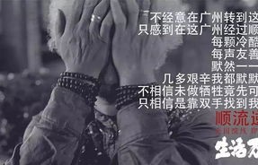 短剧心死后，我嫁给了渣男他哥（82集）