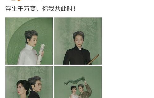 岁月流转中的优雅典范——71岁赵雅芝与61岁叶童的魅力状态